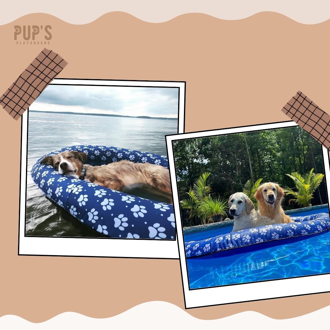 PupFloat™ Pool Lounger for Dogs