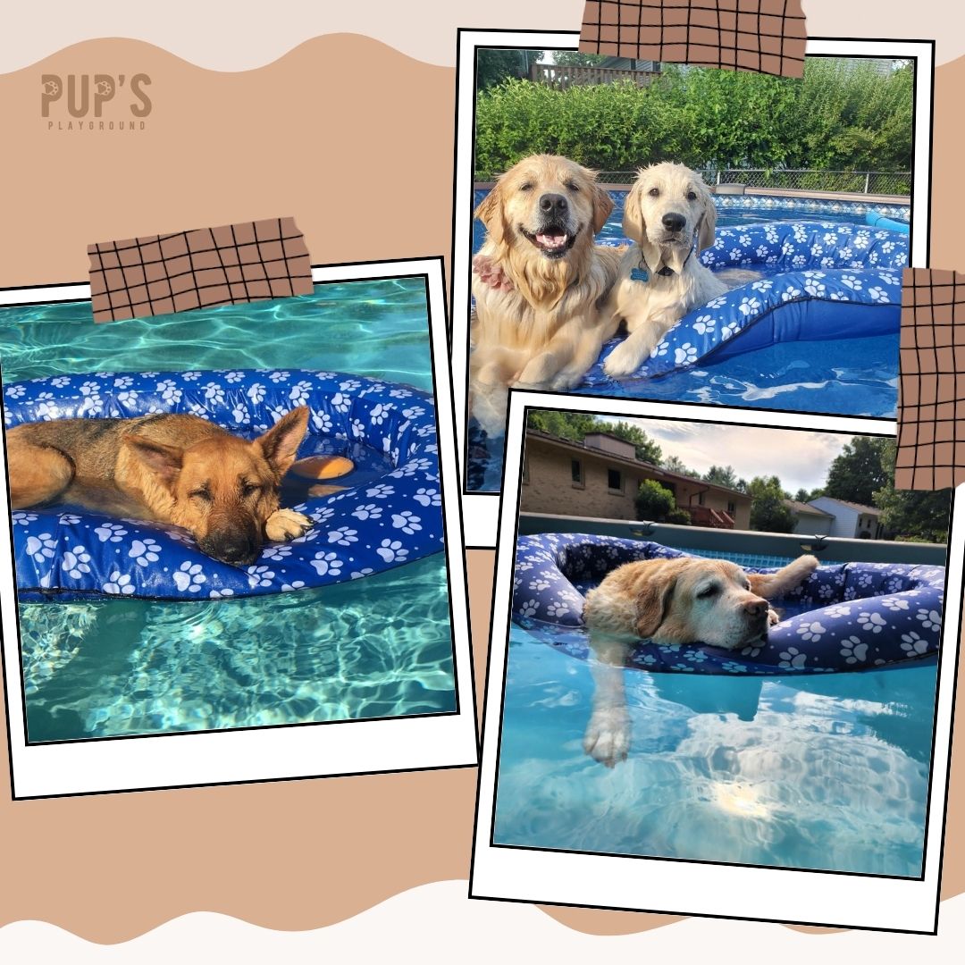 PupFloat™ Pool Lounger for Dogs