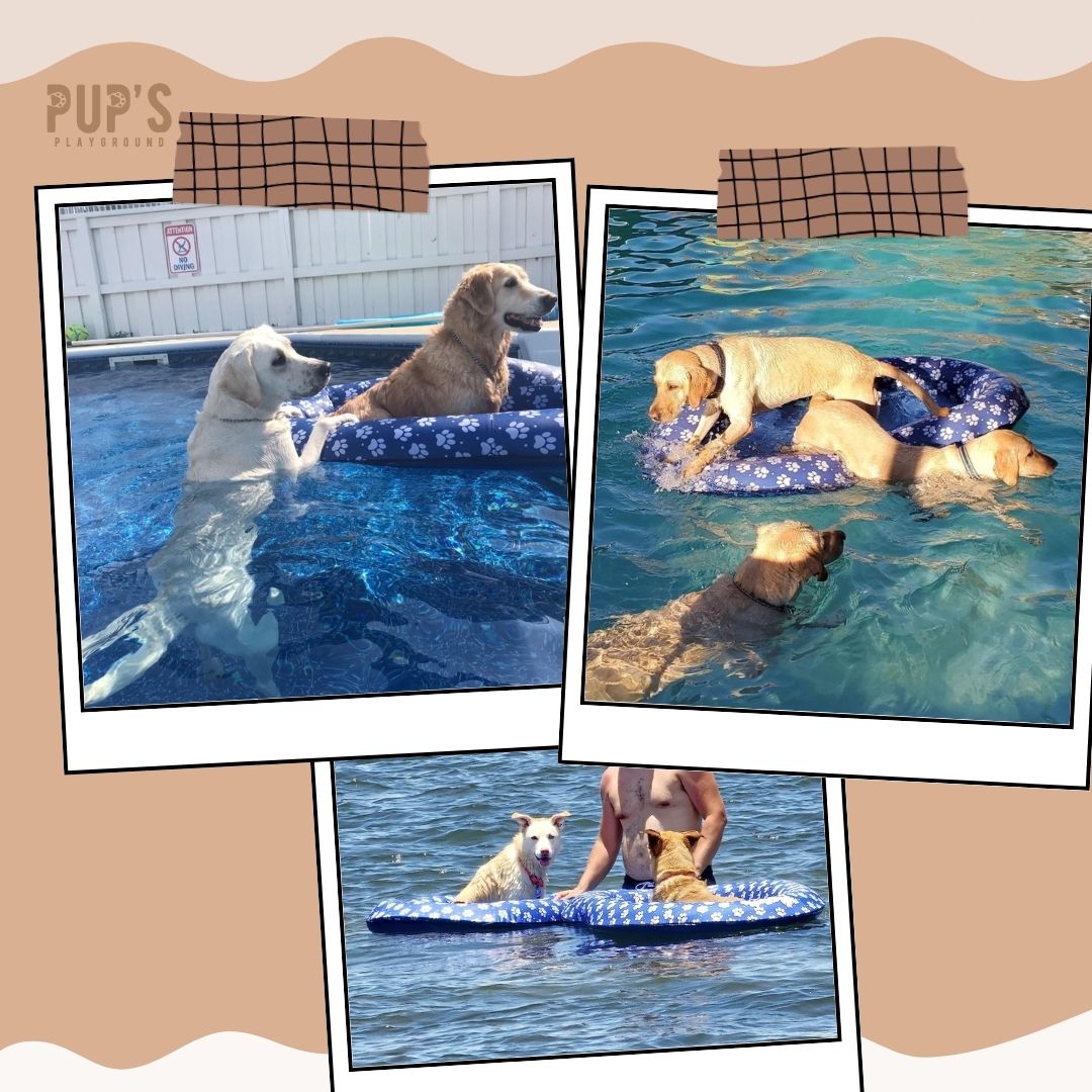 PupFloat™ Pool Lounger for Dogs
